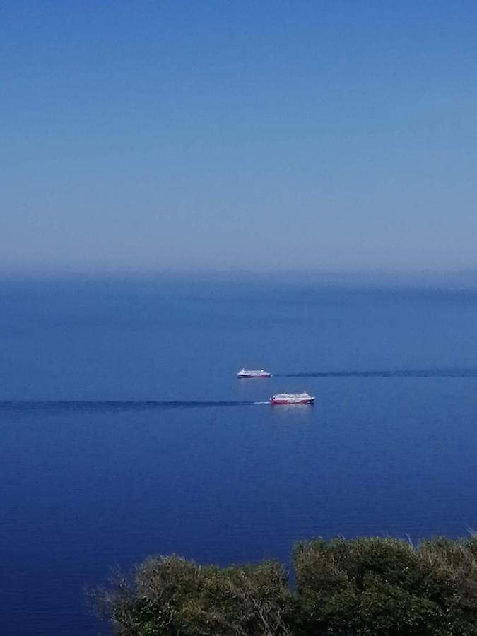 Aegean Deep Blue Andros Ano Aprovato Apartment Екстериор снимка